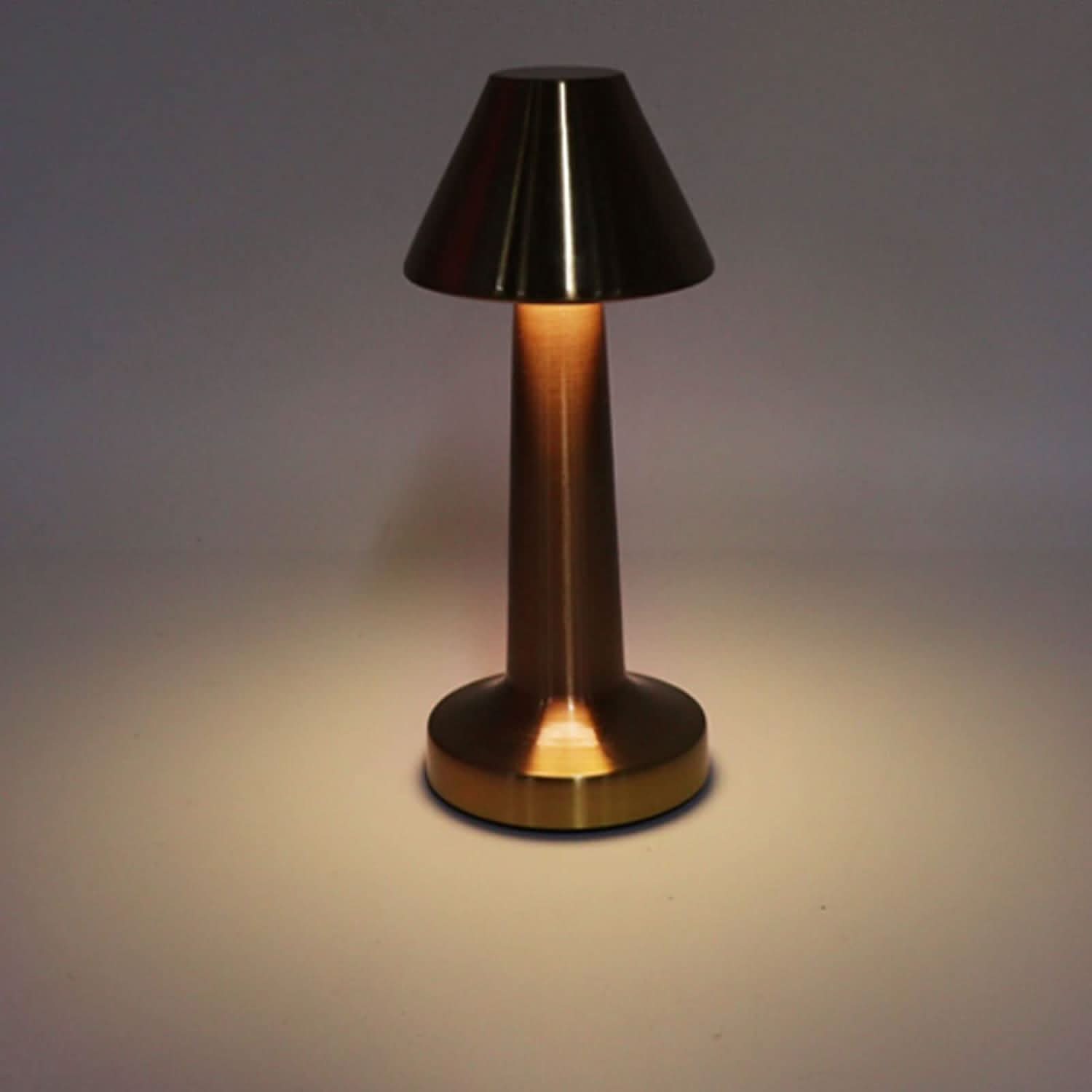 USB Rechargeable Dimmable LED Desk Lamp for Study