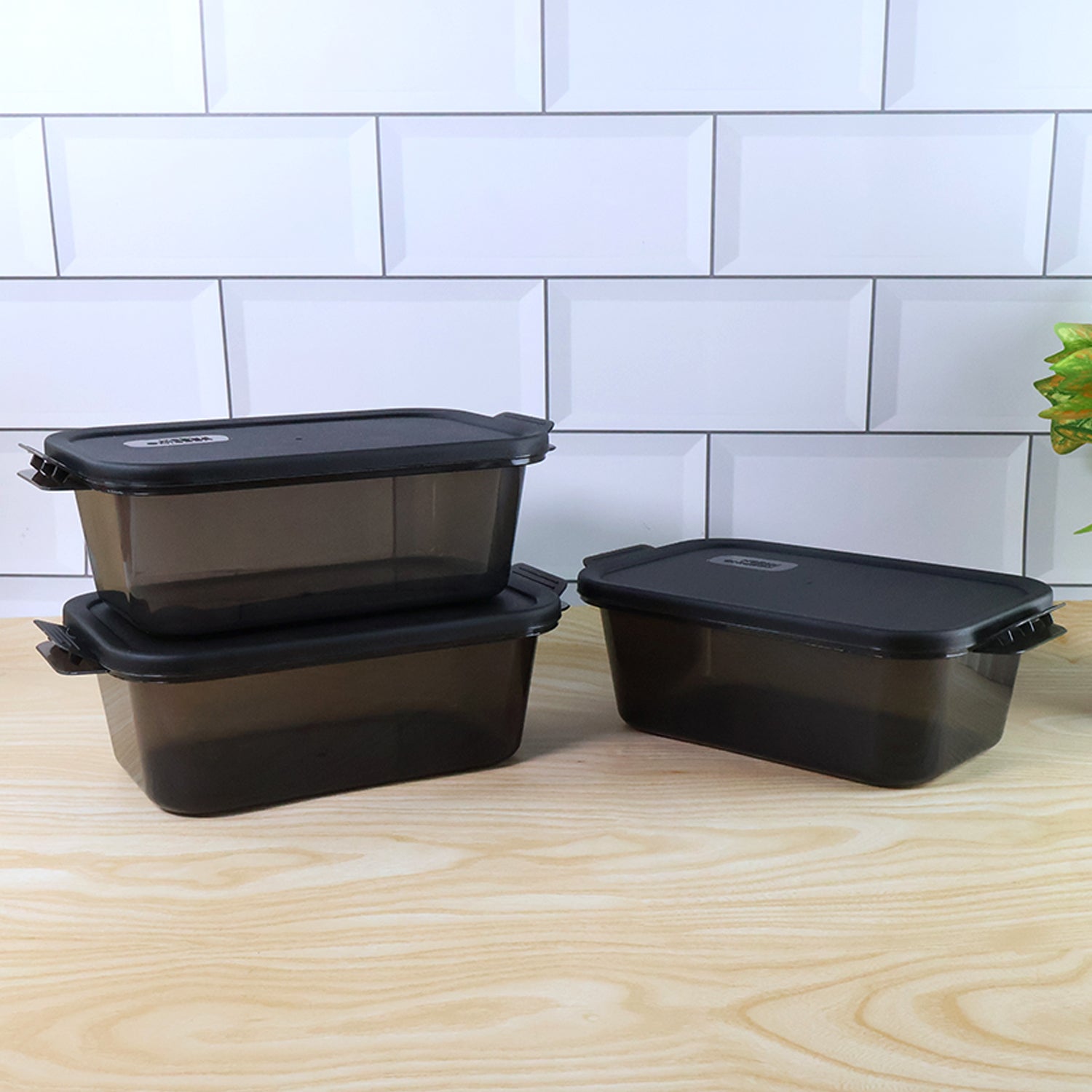 BPA-Free Rectangular Food Storage Containers Set of 3