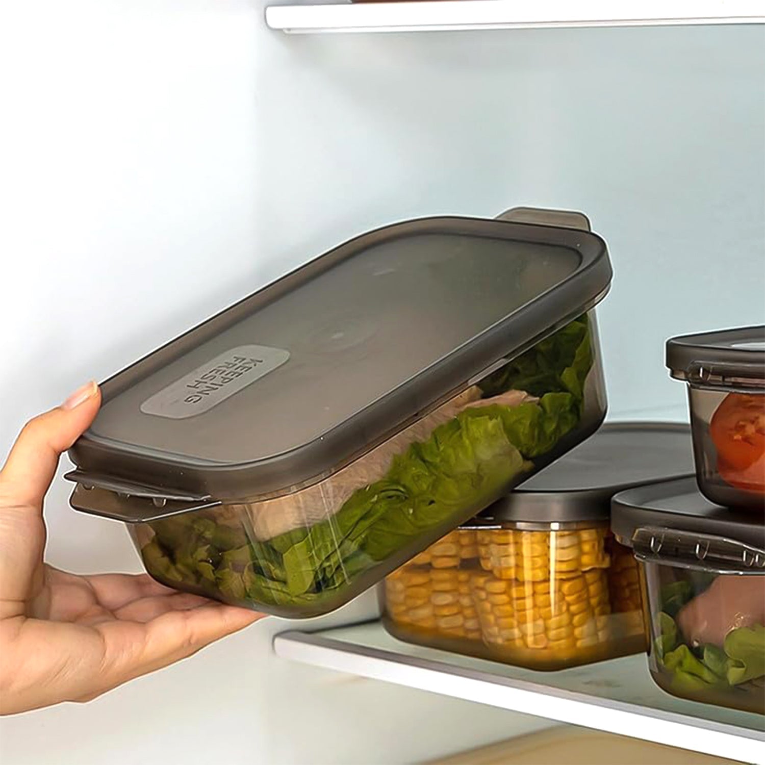 BPA-Free Rectangular Food Storage Containers Set of 3