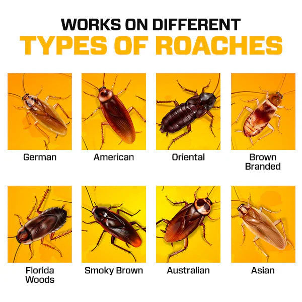 Natural Cockroach Killer Gel – Effective Pest Control for Kitchens, Bathrooms, and Cabinets