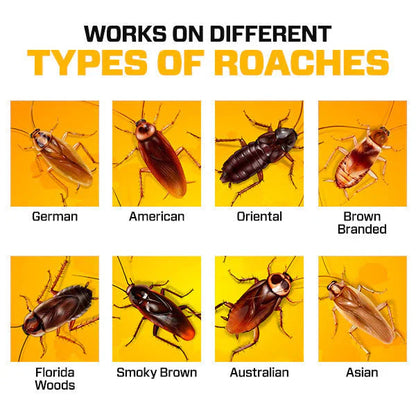 Natural Cockroach Killer Gel – Effective Pest Control for Kitchens, Bathrooms, and Cabinets